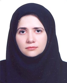 Nikta Hatamizadeh